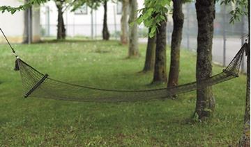 Picture of OD HAMMOCK WITH SPREADER BARS